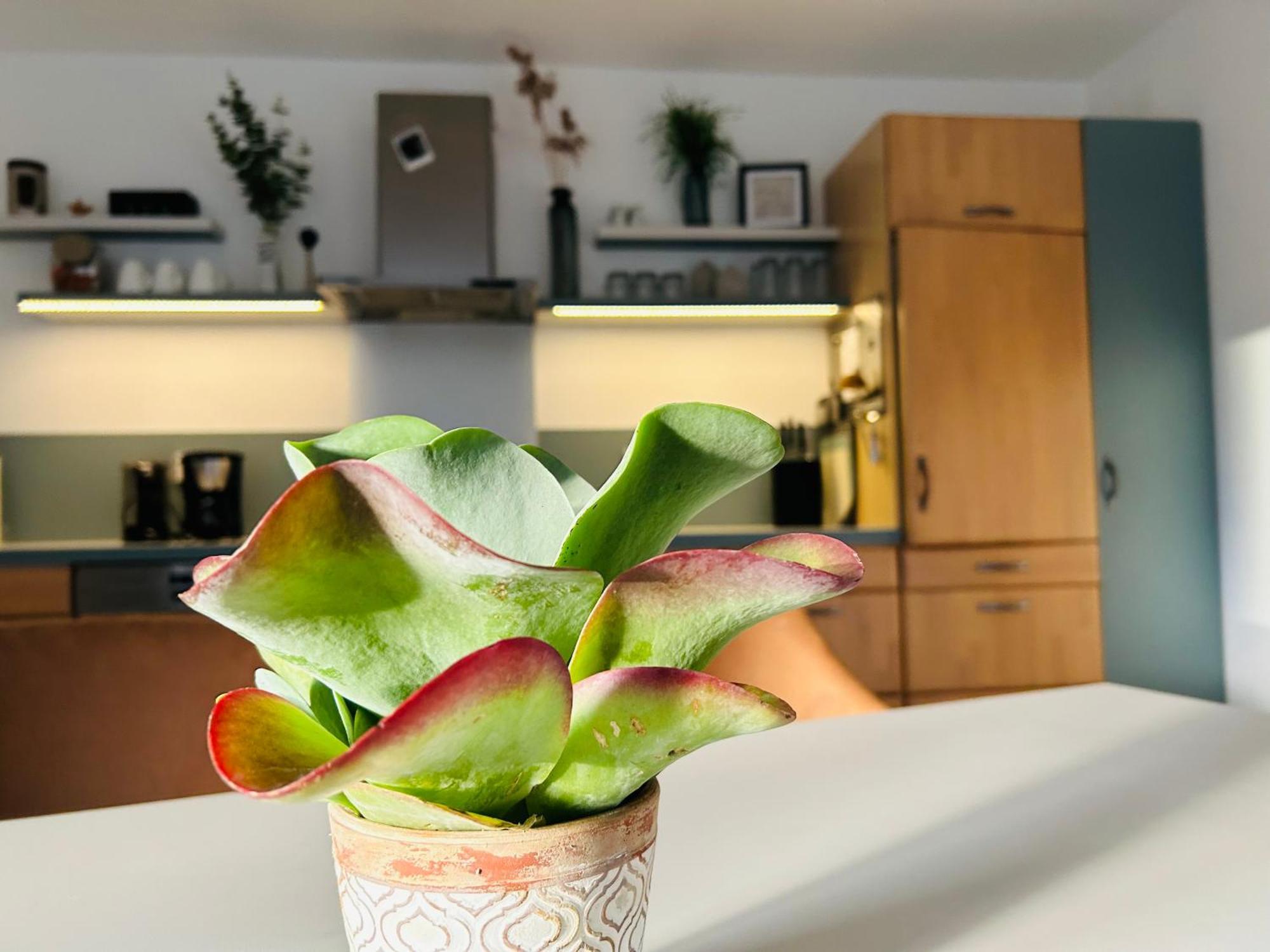 137Hideaway Ferienwohnung Eichstaett Dış mekan fotoğraf